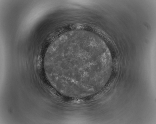 X0000112930760200909141333