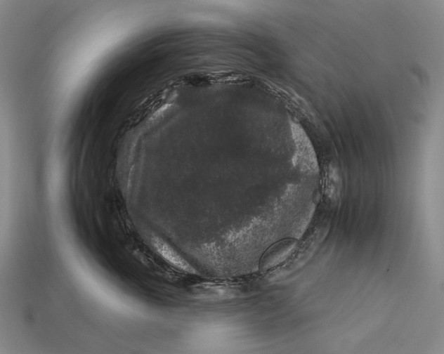 X0000112930763200909141333