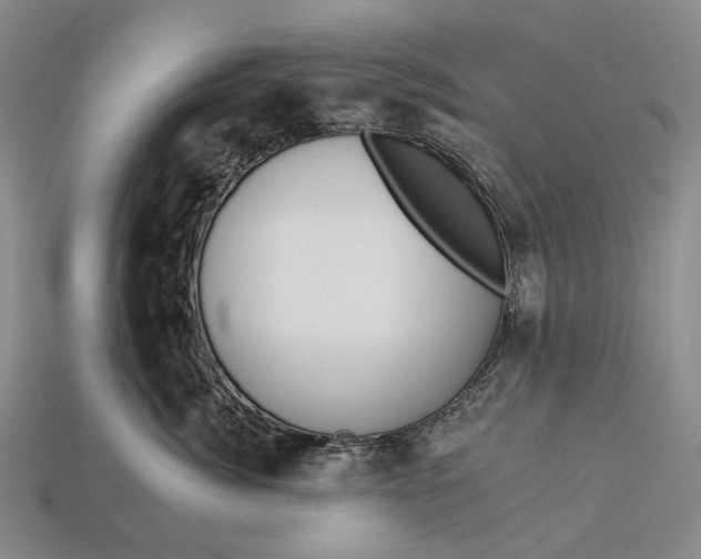 X0000112930764200909141333