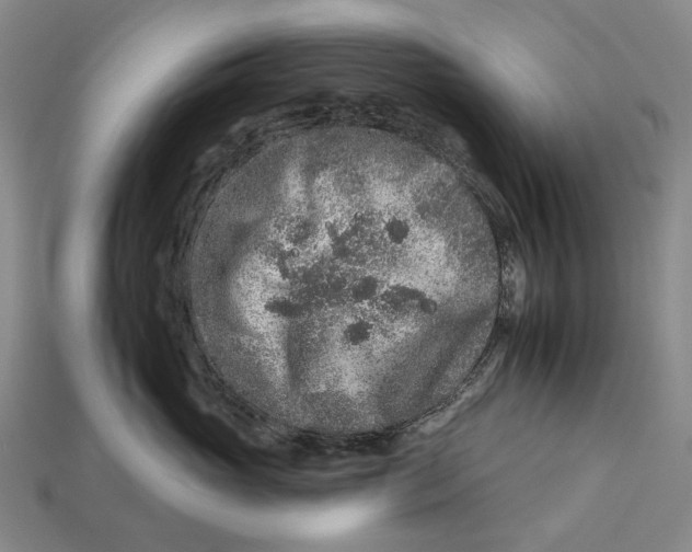 X0000112930765200909141333