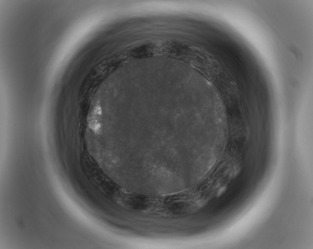 X0000112930766200909141333