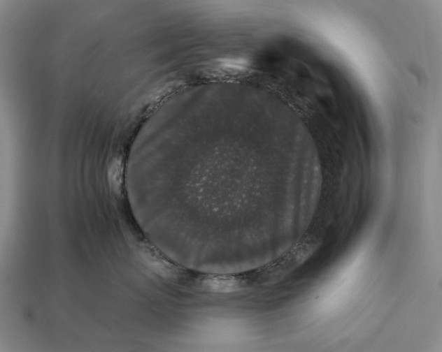 X0000112930767200909141333