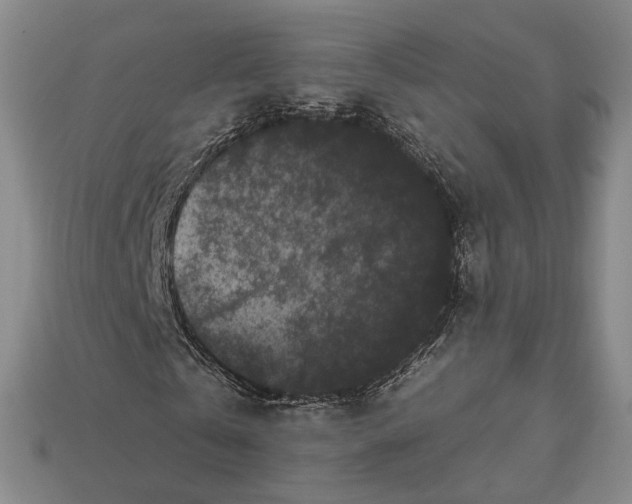 X0000112930769200909141333