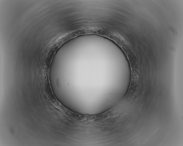 X0000112930773200909141333