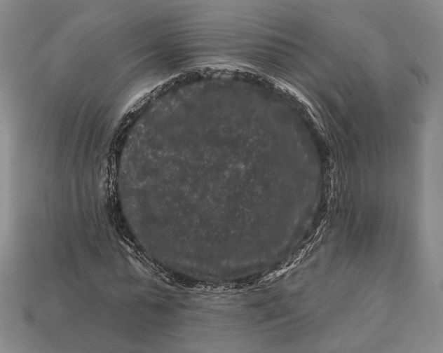 X0000112930775200909141333