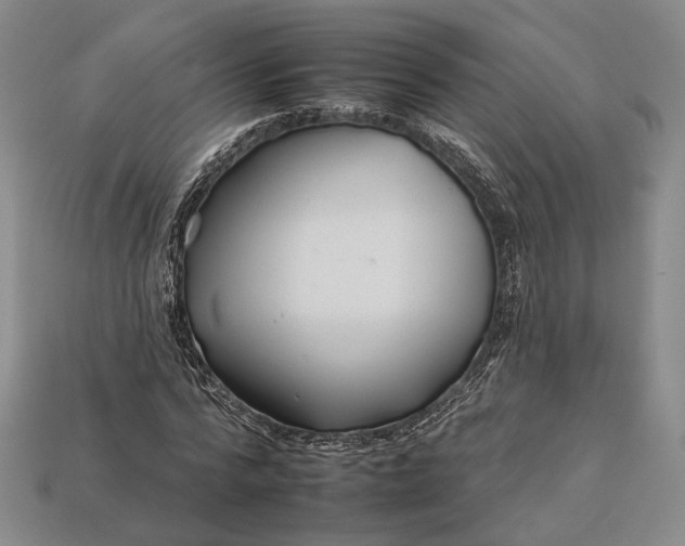 X0000112930776200909141333