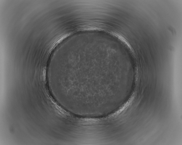 X0000112930777200909141333