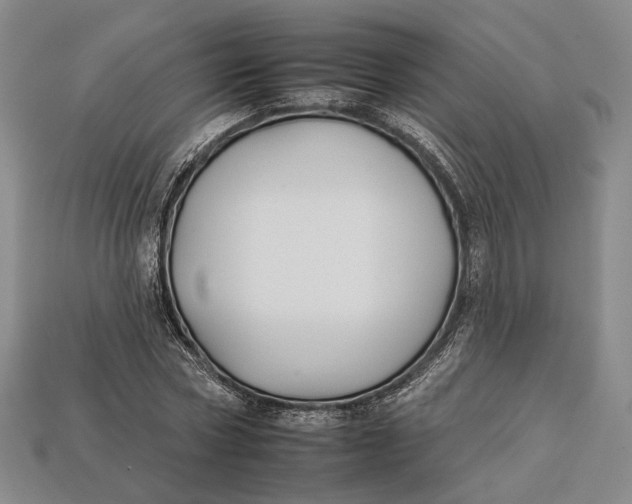 X0000112930778200909141333