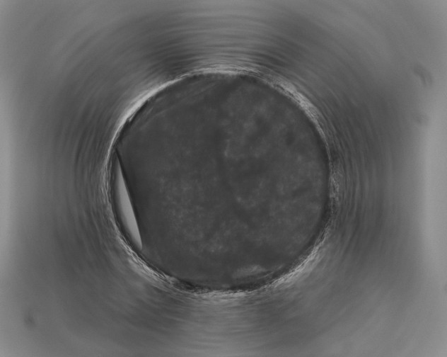 X0000112930779200909141333