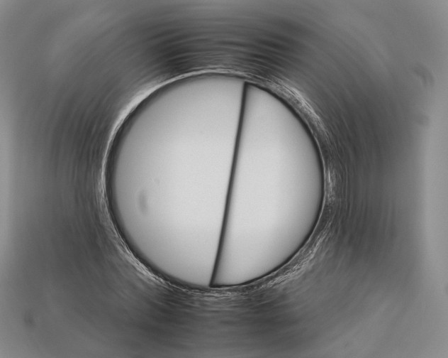 X0000112930780200909141333