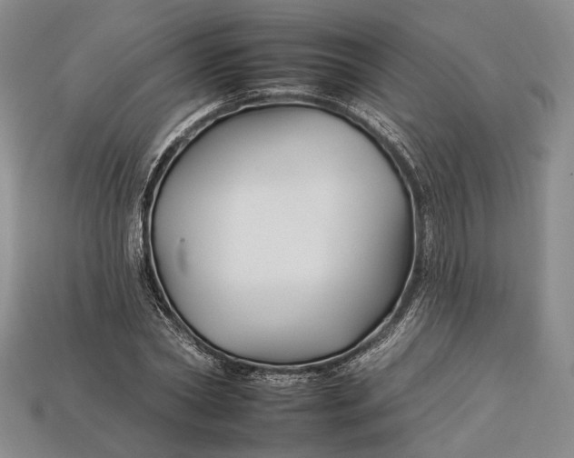 X0000112930782200909141333