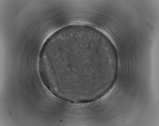 X0000112930783200909141333