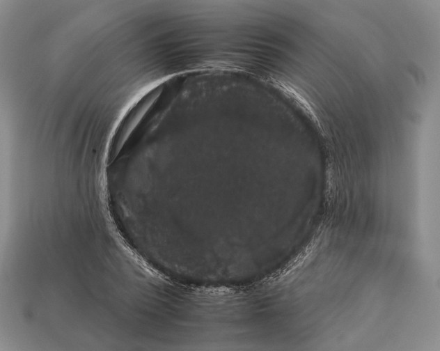 X0000112930784200909141333