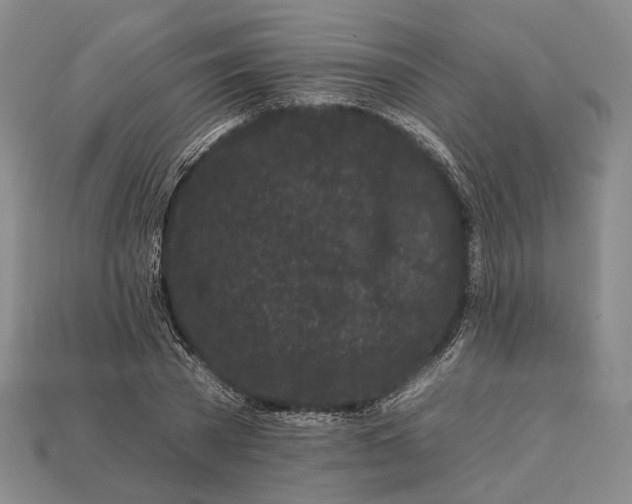 X0000112930785200909141333