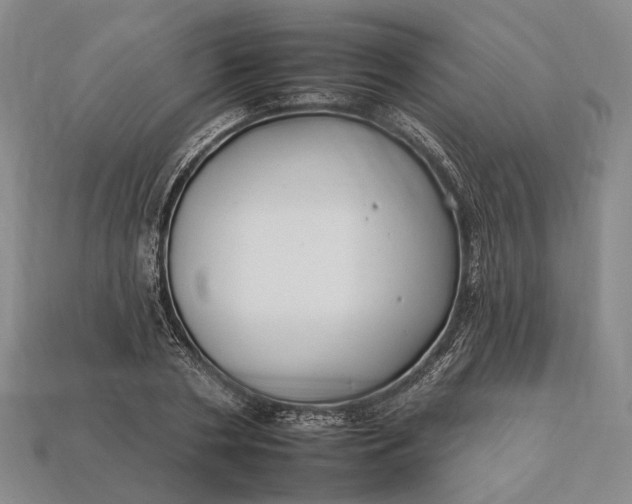 X0000112930786200909141333