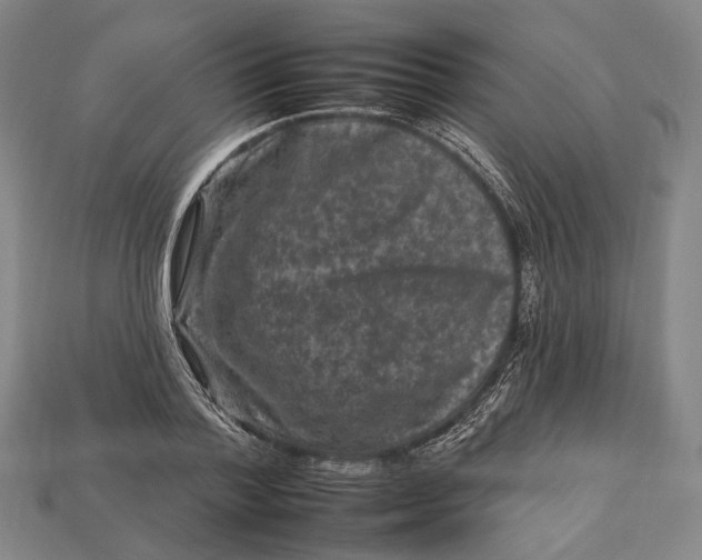 X0000112930788200909141333