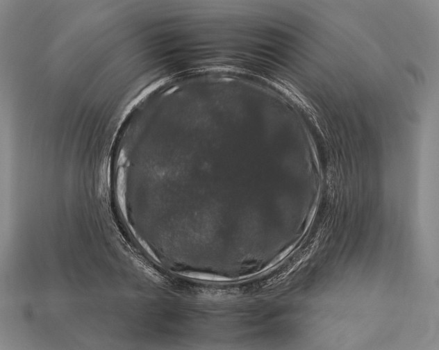 X0000112930790200909141333