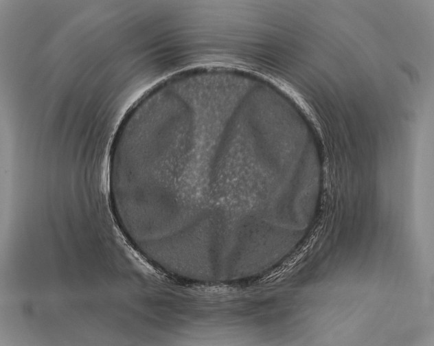 X0000112930791200909141333