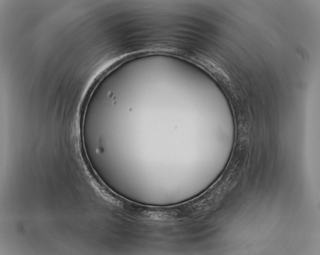 X0000112930792200909141333