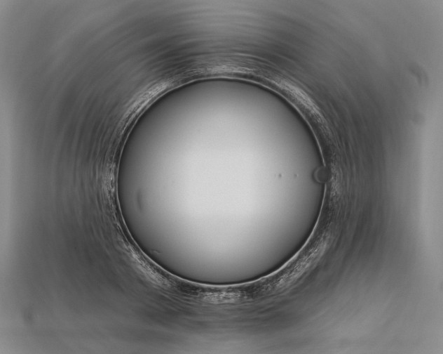 X0000112930793200909141333