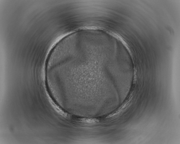 X0000112930795200909141332