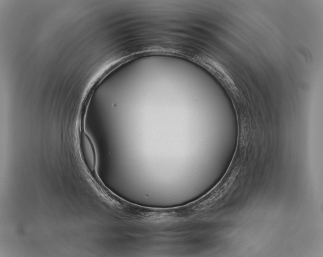 X0000112930796200909141332