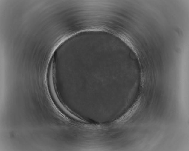 X0000112930797200909141332