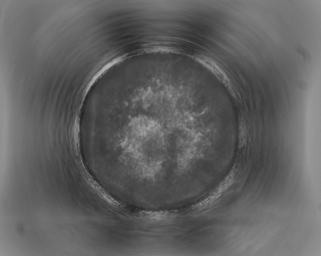 X0000112930798200909141332