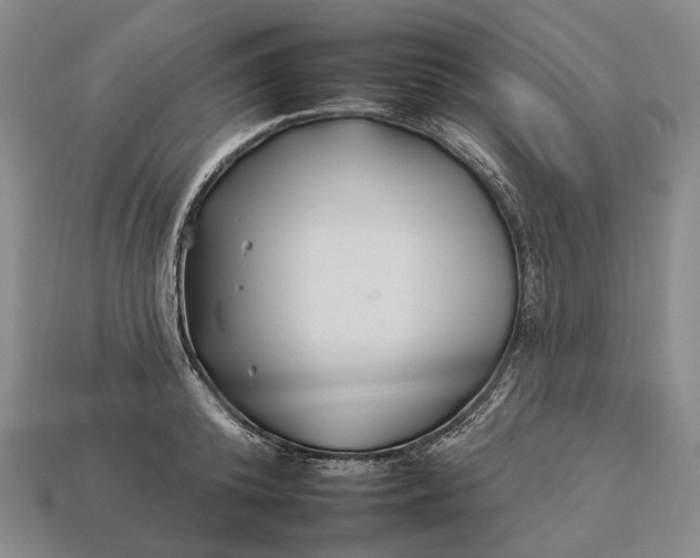 X0000112930800200909141332