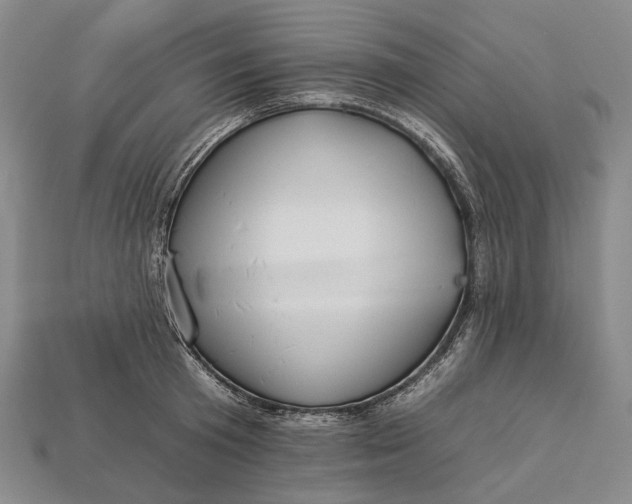 X0000112930801200909141332