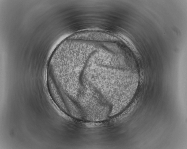 X0000112930804200909141332