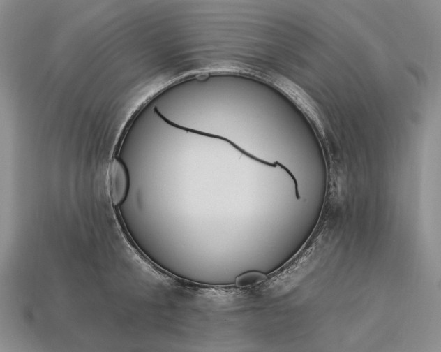 X0000112930805200909141332