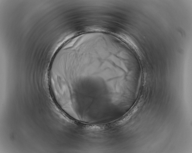 X0000112930806200909141332