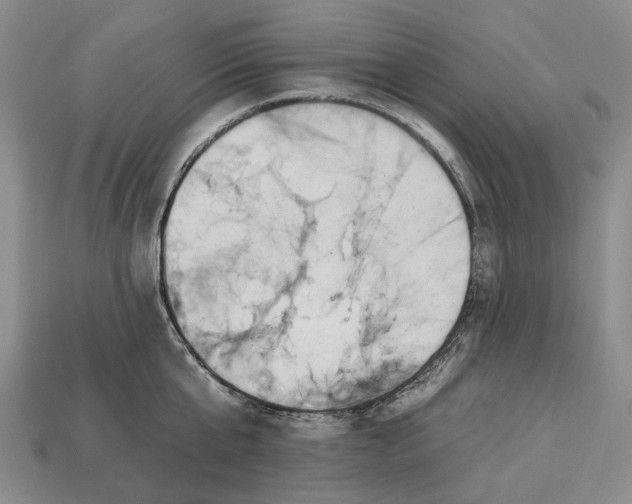 X0000112930807200909141332