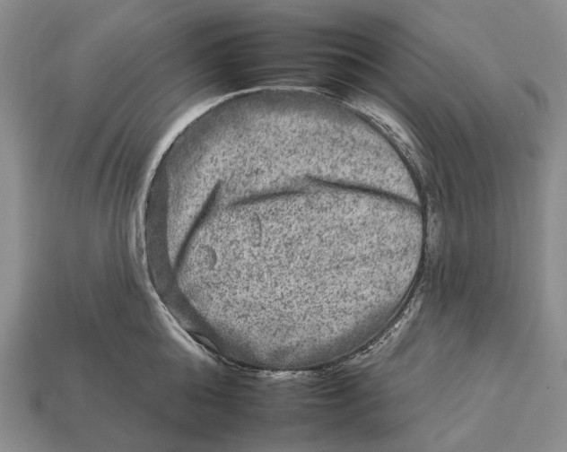 X0000112930808200909141332