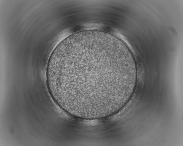 X0000112930810200909141332