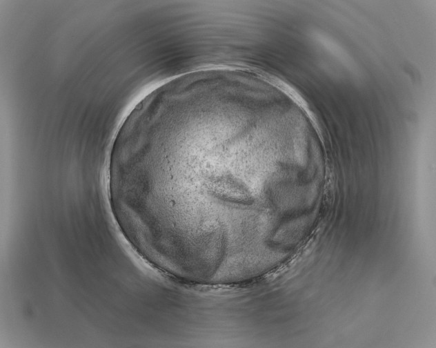 X0000112930811200909141332