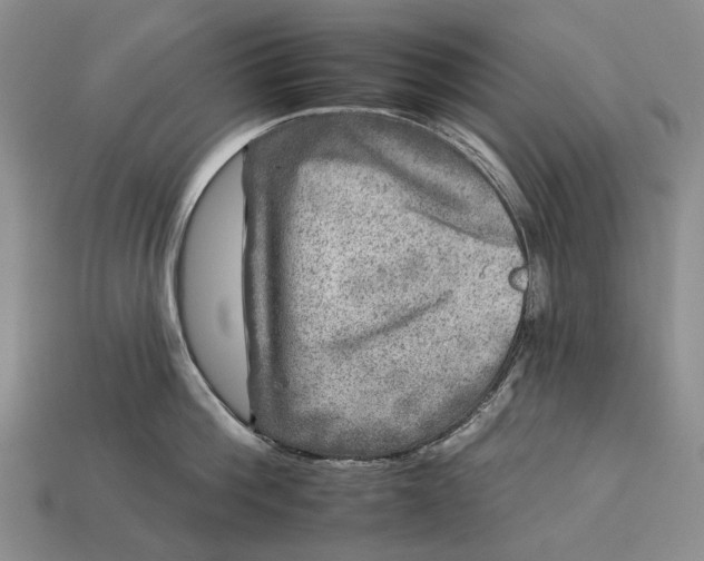 X0000112930812200909141332