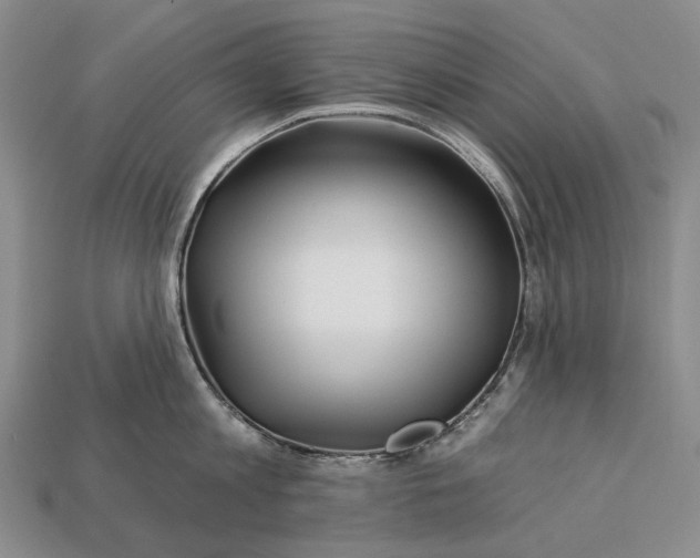 X0000112930813200909141332