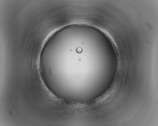 X0000112930815200909141332