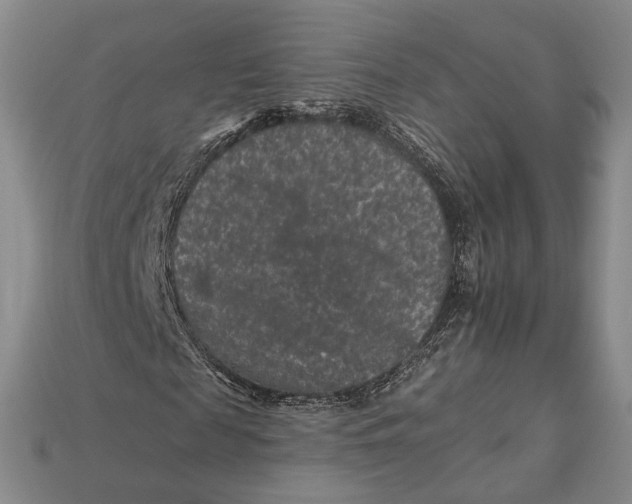 X0000112930817200909141332