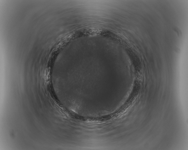 X0000112930818200909141332