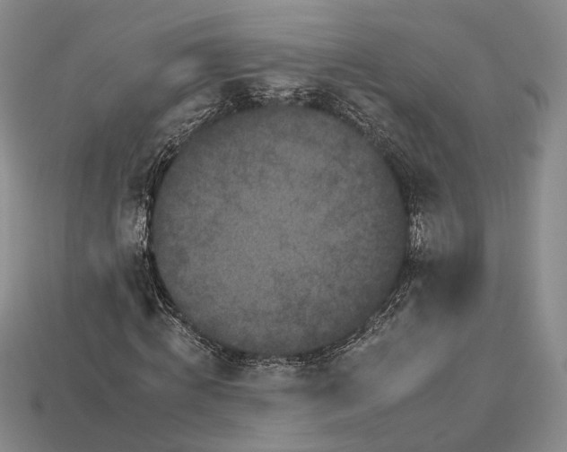 X0000112930820200909141332