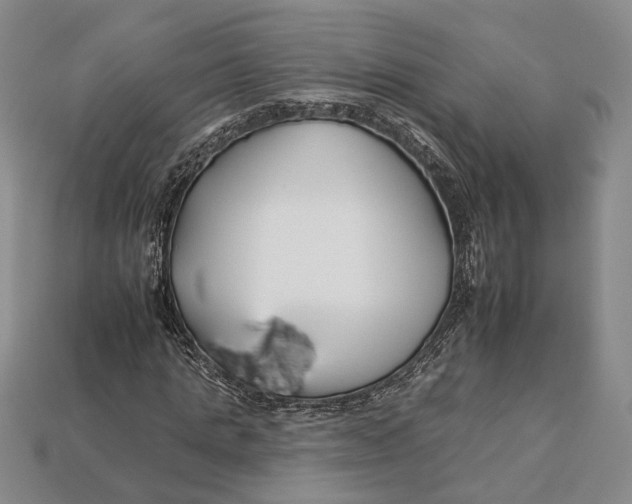 X0000112930821200909141332