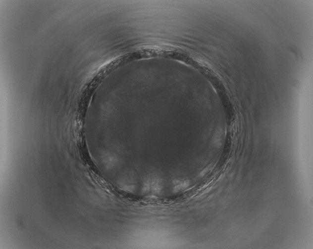 X0000112930822200909141332