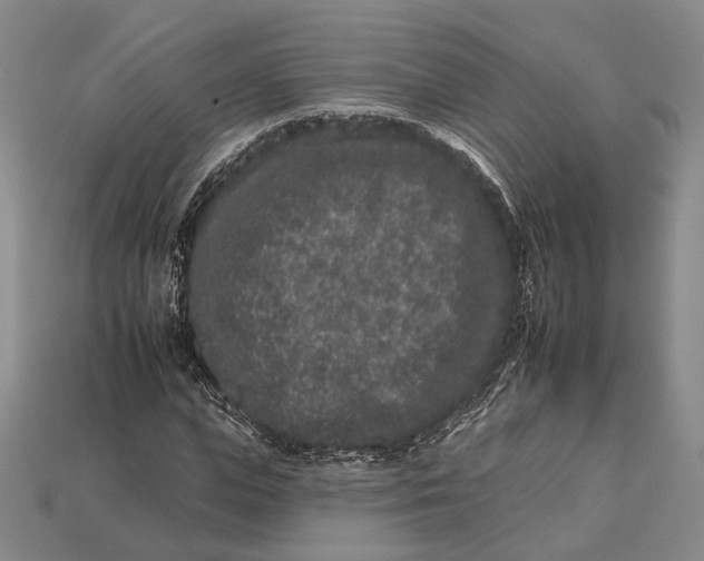 X0000112930823200909141332