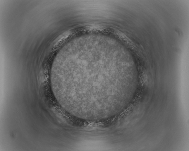 X0000112930824200909141332