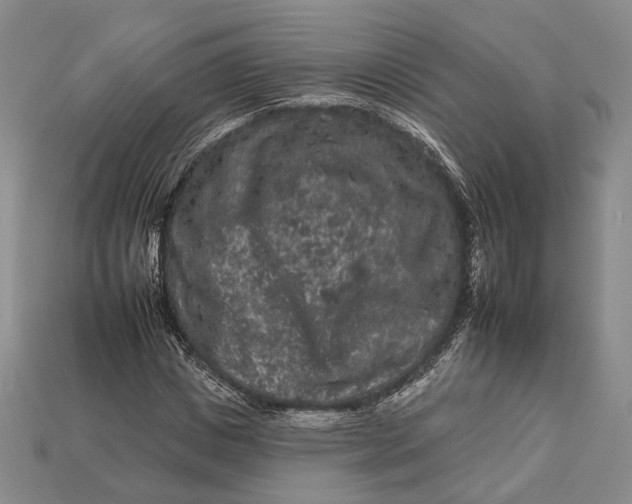 X0000112930825200909141332