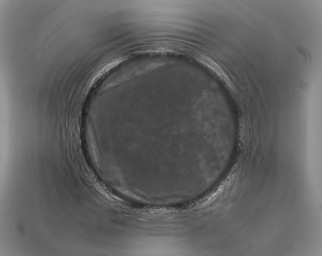 X0000112930826200909141332