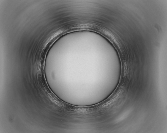 X0000112930827200909141332